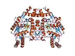 1dm8: BOVINE ENDOTHELIAL NITRIC OXIDE SYNTHASE HEME DOMAIN COMPLEXED WITH 1,2,4-TRIAZOLE-CARBOXAMIDINE (H4B BOUND)