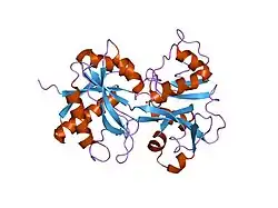1dsn: D60S N-TERMINAL LOBE HUMAN LACTOFERRIN