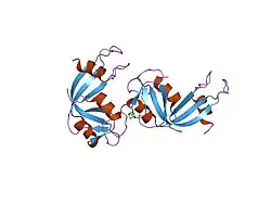 1dza: 3-D STRUCTURE OF A HP-RNASE