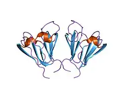1e7n: THE N-TERMINAL DOMAIN OF BETA-B2-CRYSTALLIN RESEMBLES THE PUTATIVE ANCESTRAL DIMERIC