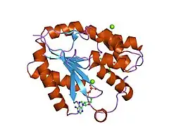 1e99: HUMAN THYMIDYLATE KINASE COMPLEXED WITH AZTMP AND ADP