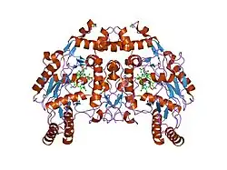 1ed6: BOVINE ENDOTHELIAL NITRIC OXIDE SYNTHASE HEME DOMAIN COMPLEXED WITH L-NIO (H4B FREE)