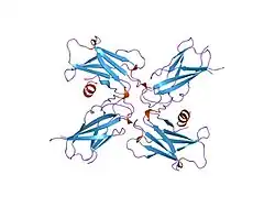 1ern: NATIVE STRUCTURE OF THE EXTRACELLULAR DOMAIN OF ERYTHROPOIETIN (EPO) RECEPTOR [EBP]