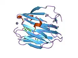 1f5f: CRYSTAL STRUCTURE OF THE N-TERMINAL G-DOMAIN OF SHBG IN COMPLEX WITH ZINC