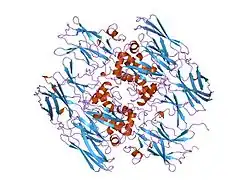 1fie: RECOMBINANT HUMAN COAGULATION FACTOR XIII