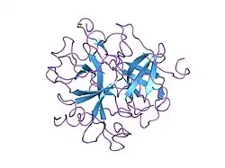 1fph: THE INTERACTION OF THROMBIN WITH FIBRINOGEN: A STRUCTURAL BASIS FOR ITS SPECIFICITY