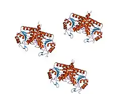 1fpz: CRYSTAL STRUCTURE ANALYSIS OF KINASE ASSOCIATED PHOSPHATASE (KAP) WITH A SUBSTITUTION OF THE CATALYTIC SITE CYSTEINE (CYS140) TO A SERINE