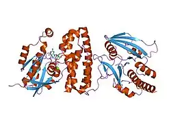1g4u: CRYSTAL STRUCTURE OF THE SALMONELLA TYROSINE PHOSPHATASE AND GTPASE ACTIVATING PROTEIN SPTP BOUND TO RAC1