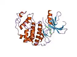 1g5s: CRYSTAL STRUCTURE OF HUMAN CYCLIN DEPENDENT KINASE 2 (CDK2) IN COMPLEX WITH THE INHIBITOR H717