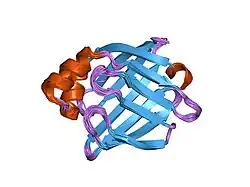 1g5w: SOLUTION STRUCTURE OF HUMAN HEART-TYPE FATTY ACID BINDING PROTEIN