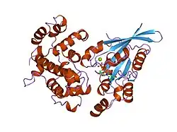 1grn: CRYSTAL STRUCTURE OF THE CDC42/CDC42GAP/ALF3 COMPLEX.