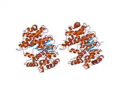 1gsd: GLUTATHIONE TRANSFERASE A1-1 IN UNLIGANDED FORM