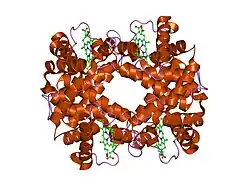 1hbb: HIGH-RESOLUTION X-RAY STUDY OF DEOXYHEMOGLOBIN ROTHSCHILD 37BETA TRP-> ARG: A MUTATION THAT CREATES AN INTERSUBUNIT CHLORIDE-BINDING SITE