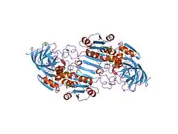 1hdy: THREE-DIMENSIONAL STRUCTURES OF THREE HUMAN ALCOHOL DEHYDROGENASE VARIANTS: CORRELATIONS WITH THEIR FUNCTIONAL DIFFERENCES