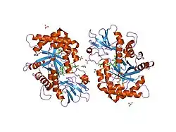 1hjw: CRYSTAL STRUCTURE OF HCGP-39 IN COMPLEX WITH CHITIN OCTAMER