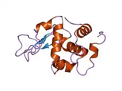1i20: MUTANT HUMAN LYSOZYME (A92D)