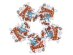 1ias: CYTOPLASMIC DOMAIN OF UNPHOSPHORYLATED TYPE I TGF-BETA RECEPTOR CRYSTALLIZED WITHOUT FKBP12
