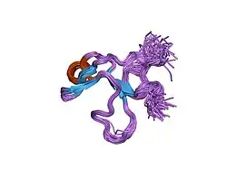 1j7m: The Third Fibronectin Type II Module from Human Matrix Metalloproteinase 2