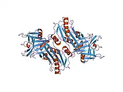 1jjo: Crystal Structure of Mouse Neuroserpin (Cleaved form)