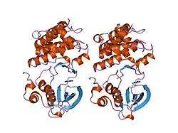 1jpa: Crystal Structure of unphosphorylated EphB2 receptor tyrosine kinase and juxtamembrane region
