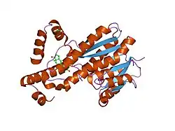 1jtv: Crystal structure of 17beta-Hydroxysteroid Dehydrogenase Type 1 complexed with Testosterone