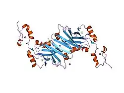 1k2f: siah, Seven In Absentia Homolog