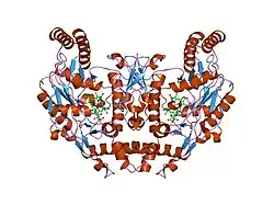 1k2r: Structure of rat brain nNOS heme domain complexed with NG-nitro-L-arginine