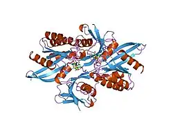 1lfd: CRYSTAL STRUCTURE OF THE ACTIVE RAS PROTEIN COMPLEXED WITH THE RAS-INTERACTING DOMAIN OF RALGDS