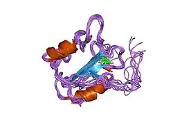 1mw4: Solution structure of the human Grb7-SH2 domain in complex with a 10 amino acid peptide pY1139