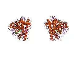 1myi: HIGH RESOLUTION X-RAY STRUCTURES OF PIG METMYOGLOBIN AND TWO CD3 MUTANTS MB(LYS45-> ARG) AND MB(LYS45-> SER)