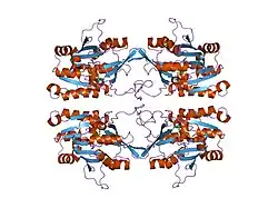 1nbh: Structure of glycine N-methyltransferase complexed with S-adenosylmethionine and acetate, GNMT:SAM:Ace