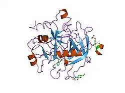1no9: Design of weakly basic thrombin inhibitors incorporating novel P1 binding functions: molecular and X-ray crystallographic studies.