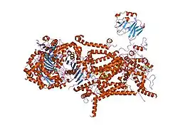 1ntm: Crystal Structure of Mitochondrial Cytochrome bc1 Complex at 2.4 Angstrom
