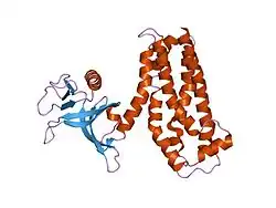 1nty: Crystal structure of the first DH/PH domain of Trio to 1.7 A