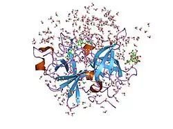 1o3p: Elaborate Manifold of Short Hydrogen Bond Arrays Mediating Binding of Active Site-Directed Serine Protease Inhibitors