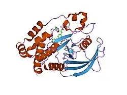 1ony: Oxalyl-Aryl-Amino Benzoic Acid inhibitors of PTP1B, compound 17