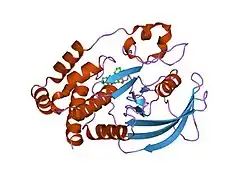 1onz: Oxalyl-aryl-Amino Benzoic acid Inhibitors of PTP1B, compound 8b