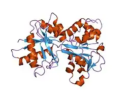 1oqg: Crystal structure of the D63E mutant of the N-lobe human transferrin