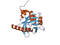 1ow1: Crystal structure of the SPOC domain of the human transcriptional corepressor, SHARP.