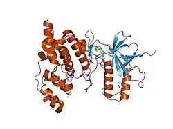 1pmu: The crystal structure of JNK3 in complex with a phenantroline inhibitor
