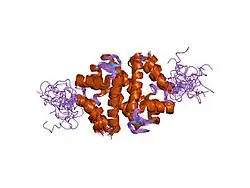 1psb: Solution structure of calcium loaded S100B complexed to a peptide from N-Terminal regulatory domain of NDR kinase.