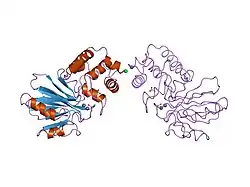1qh3: HUMAN GLYOXALASE II WITH CACODYLATE AND ACETATE IONS PRESENT IN THE ACTIVE SITE