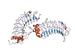 1qyy: Crystal Structure of N-Terminal Domain of Human Platelet Receptor Glycoprotein Ib-alpha at 2.8 Angstrom Resolution