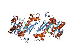 1rc0: Human GAR Tfase complex structure with polyglutamated 10-(trifluoroacetyl)-5,10-dideazaacyclic-5,6,7,8-tetrahydrofolic acid
