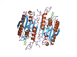 1rhm: CRYSTAL STRUCTURE OF THE COMPLEX OF CASPASE-3 WITH A NICOTINIC ACID ALDEHYDE INHIBITOR