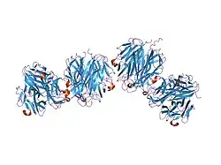 1rj7: Crystal structure of EDA-A1
