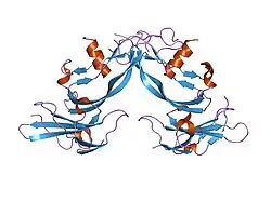 1s4y: Crystal structure of the activin/actrIIb extracellular domain