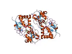 1sd3: Crystal structure of the GLUR6 ligand binding core in complex with 2S,4R-4-methylglutamate at 1.8 Angstrom resolution