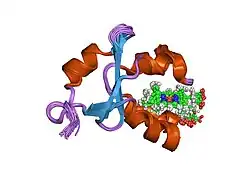 1sh4: Solution structure of oxidized bovine microsomal cytochrome B5 Mutant V45H