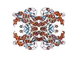 1t2a: Crystal structure of human GDP-D-mannose 4,6-dehydratase